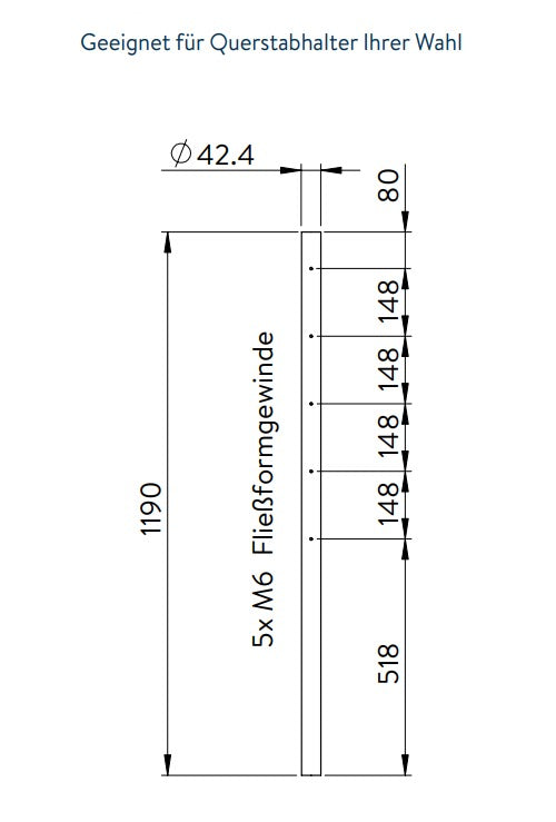 Edelstahlpfosten, mit  5 x M6 Fließformgewinde einseitig (z.B. für Querstabhalter), V2A