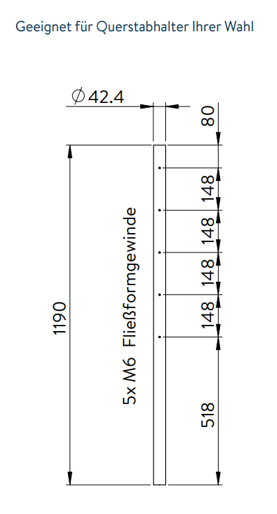 Edelstahlpfosten, mit  5 x M6 Fließformgewinde einseitig (z.B. für Querstabhalter), V2A