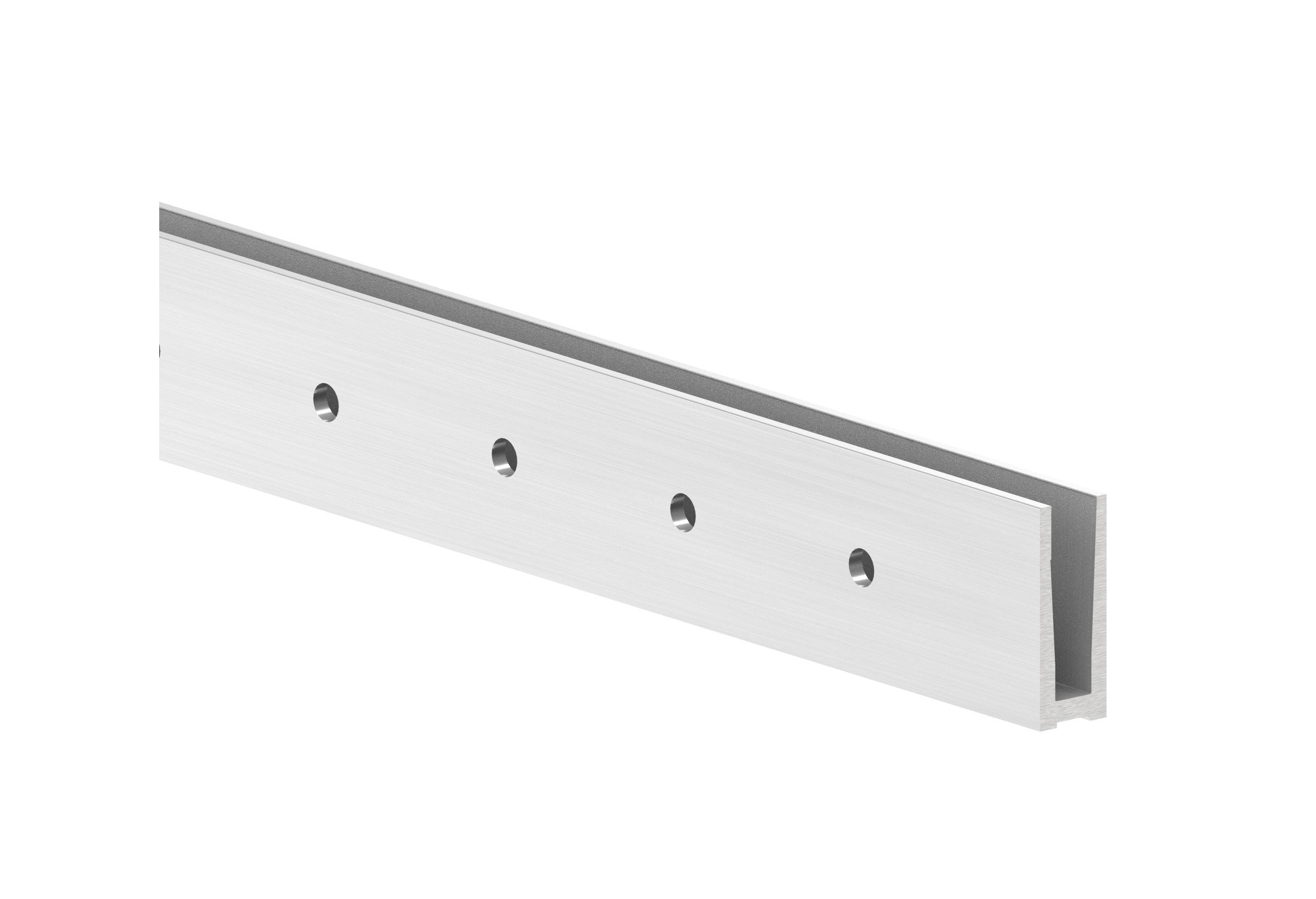 Alu-Profil eleganza STRONG, Holmlast 0.5 - 3.0 kN, zur seitlichen Montage