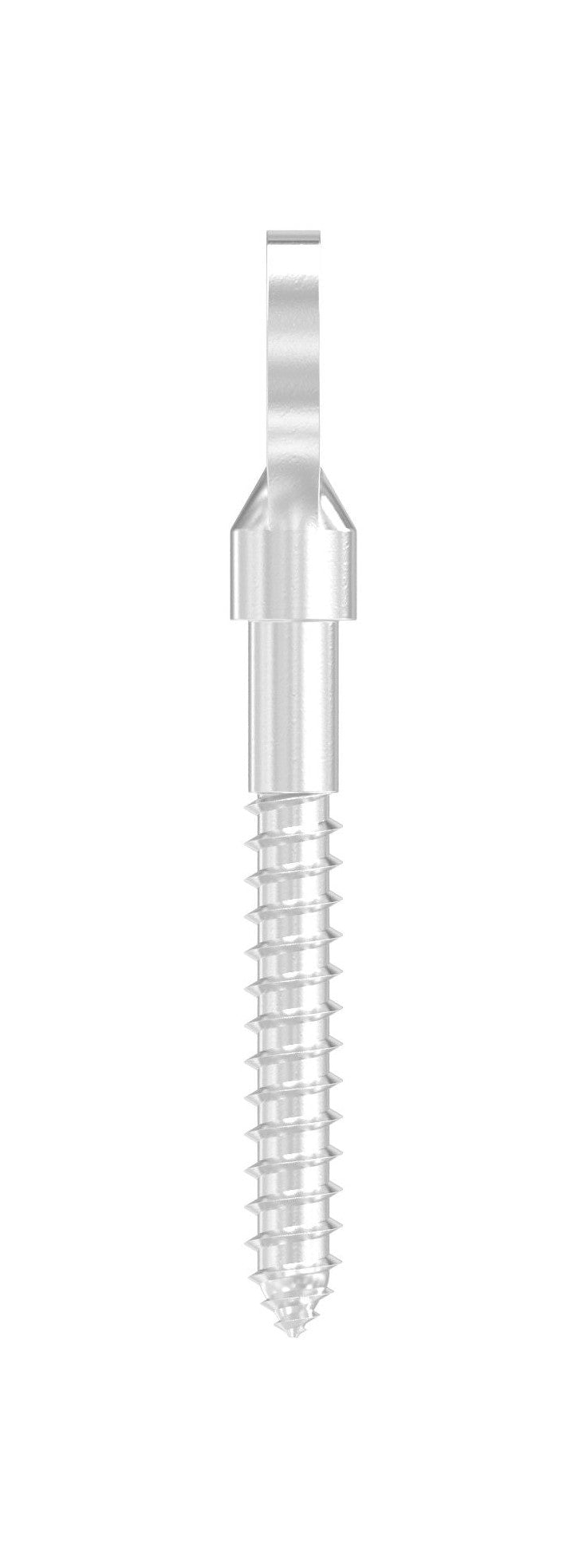Augenschraube mit flachem Kopf, mit Holzgewinde, V4A