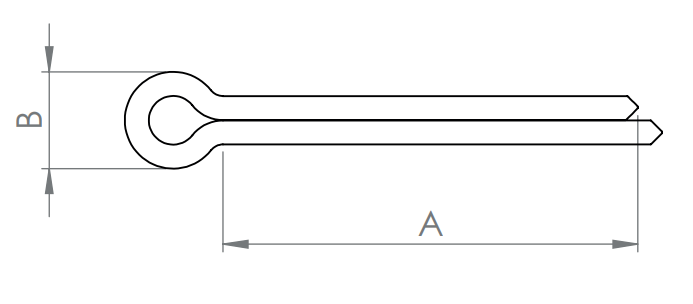 Splint, D94